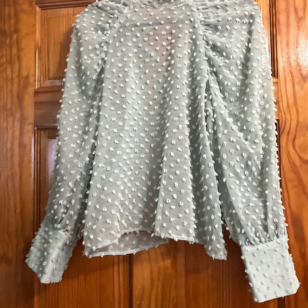 Zara Women's Blouse in Light Gray